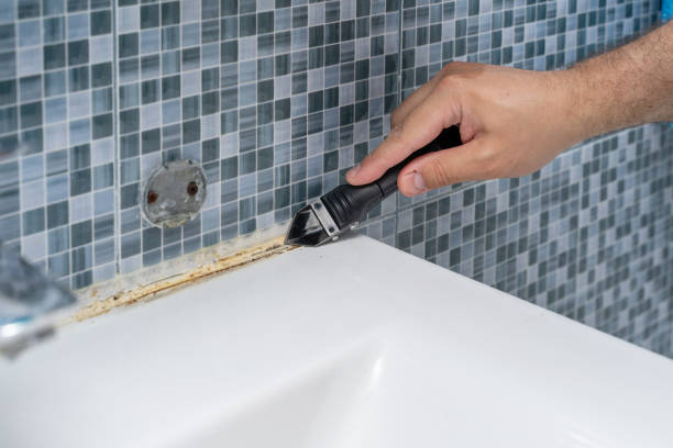Best Localized Mold Remediation (e.g., coastal areas, humid climates) in Dodge Center, MN