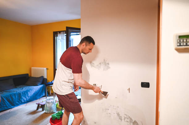 Best Basement Mold Remediation in Dodge Center, MN